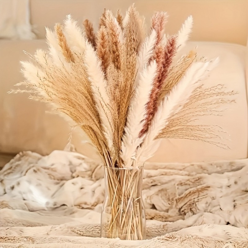 110Pcs Boho Neutral‑tone Mixed - огляд і ціна Dried Pampas Bundle