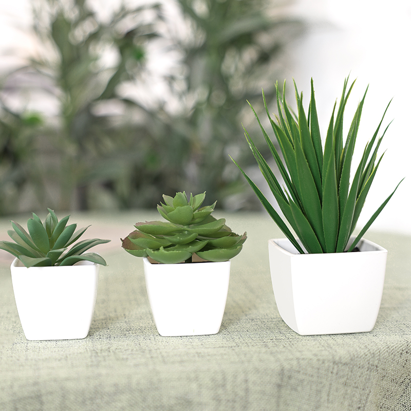 3PCS Artificial Evergreen Plan - огляд і ціна Interior Design Office