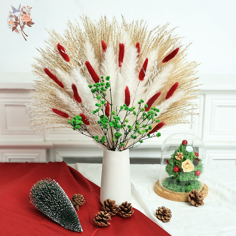 55pcs Dried Flowers Bouquet Ch - огляд і ціна Dried Pampas Bundle