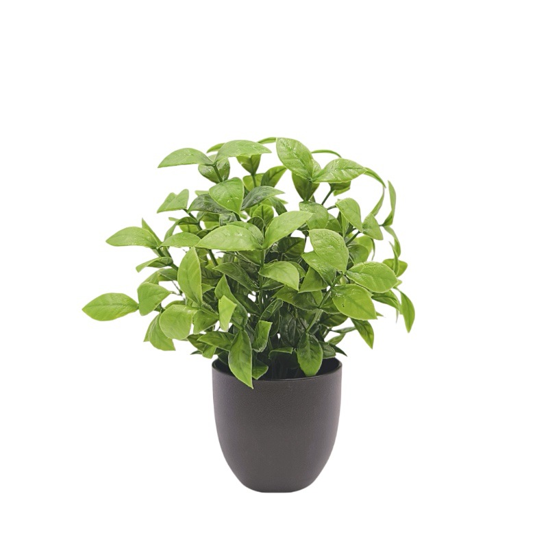 Simulation Green Plant Bonsai  - огляд і ціна Interior Design Office