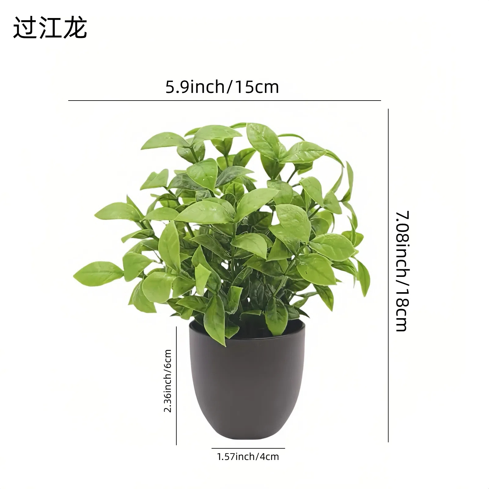 Simulation Green Plant Bonsai  - огляд і ціна Interior Design Office